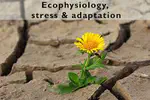Genetics expression and the impact of climate and pollution on it